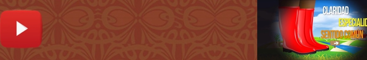 Baner 52. Importancia de congruencia interna pericial_video