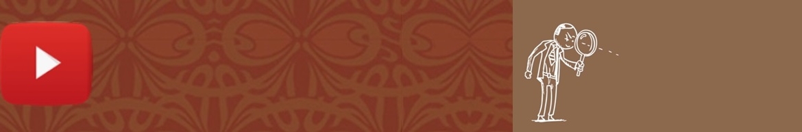 Banner 100. Orientaciones metodológicas para la intervención pericial con adultos_video
