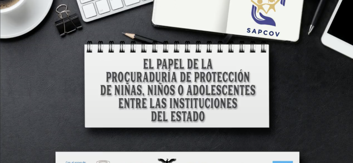 El papel de la PPNNA ante la instituciones del estado