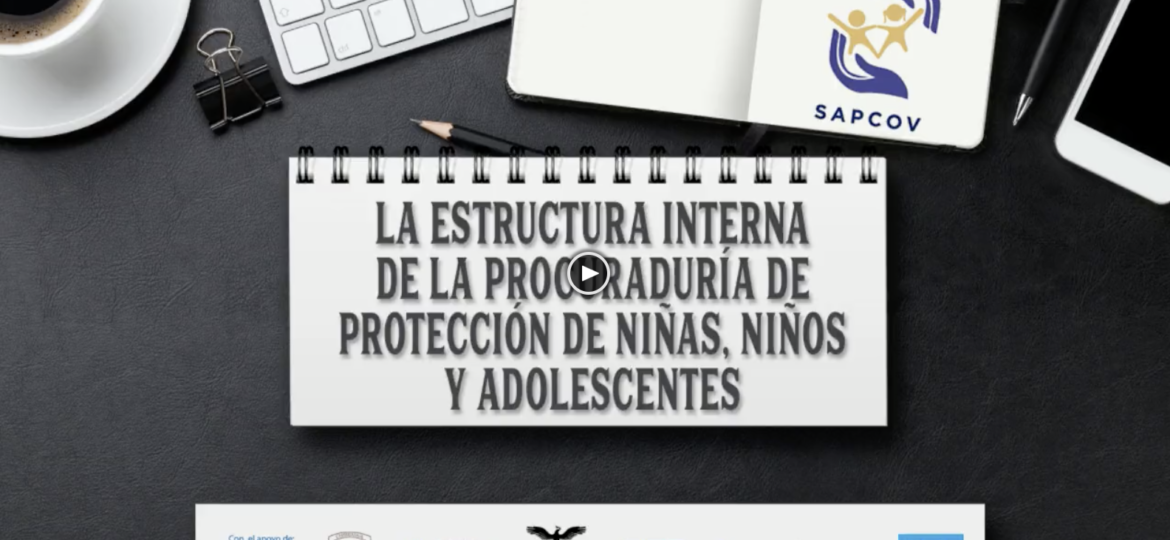 La estructura interna de la PPNNA