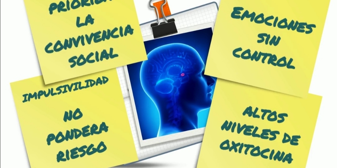 el cerebro adolescente
