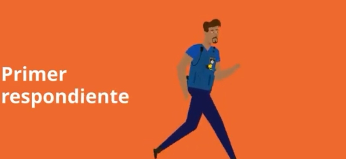 Primer respondiente
