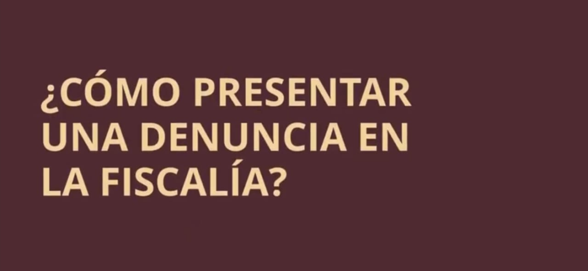 5. como presentar una denucia en caso de que mi hijo o hija hay sido victima de una agresion sexual eb su escuela