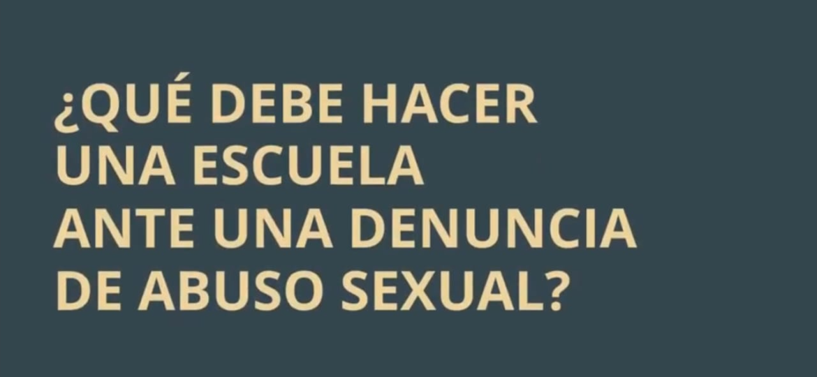 6. Cual es el papel de la escuela frente a denuncias de su personal por violencia sexual infantil